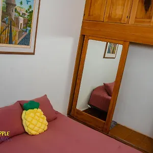  Apartment Pineapple Hospitality